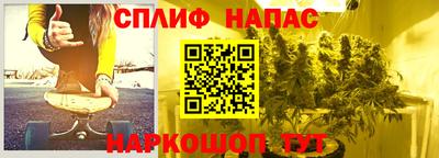 спиды Кинель