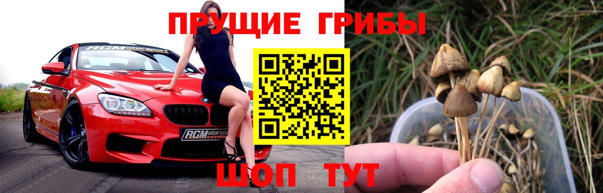 Галлюциногенные грибы MAGIC MUSHROOMS  Псилоцибиновые грибы MAGIC MUSHROOMS  Вход с VPN  Чистополь 