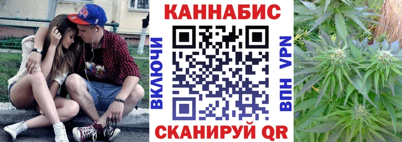 Канабис тримм  дарнет шоп  Чистополь 